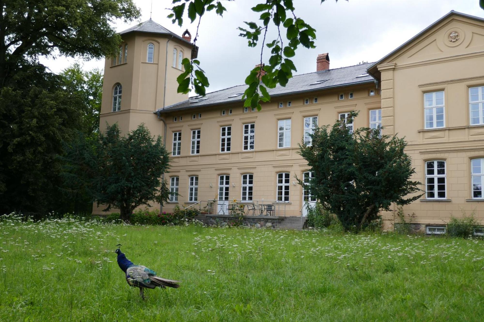 Landhaus Schloss Koelzow Kolzow 外观 照片